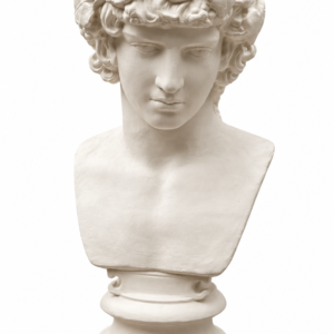 Antinous Büst 2